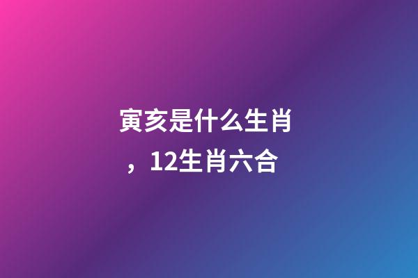 寅亥是什么生肖，12生肖六合